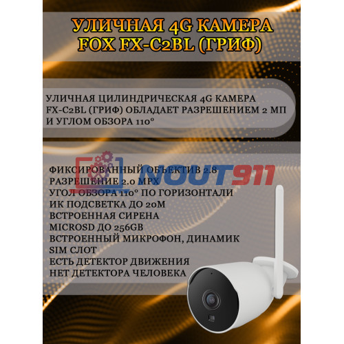 Уличная 4G камера Fox FX-C2BL (Гриф) 2МП 1920x1080 двусторонняя аудиосвязь, угол 110гр, ИК до 20м, microSD, SIM слот, Детектор движения