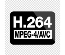 Что такое кодек H.264, MPEG-4 и MJPEG ?