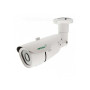 Цилиндрическая IP Камера видеонаблюдения Arax RNW-201-Bir