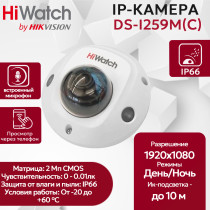 IP камера HiWatch DS-I259M(C) (2.8mm) купольная 2МП 1920x1080 H.265+ микрофон 115гр IP67 PoE черно-белая