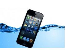 iPhone упал в воду: что нужно делать