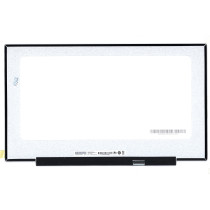 Матрица B173RTN03.1