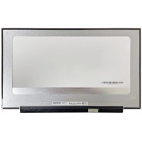 Матрица B173ZAN06.0